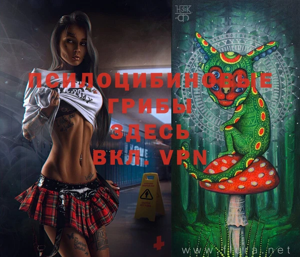 бутират Сафоново
