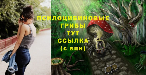 трава Беломорск