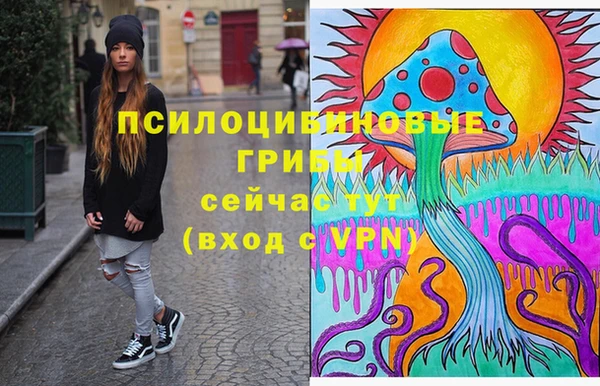 трава Беломорск