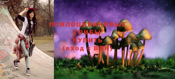 трава Беломорск