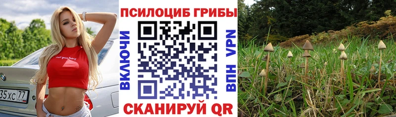 OMG зеркало  Дюртюли  Галлюциногенные грибы мицелий  нарко площадка клад  купить наркотик 